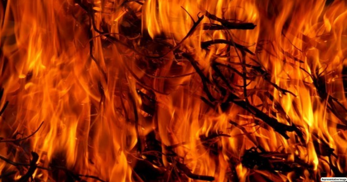 US: Wildfire burning across Huntsville, Texas triggers evacuations